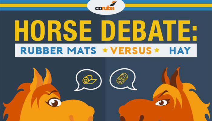 Horse Debate: Rubber Mats VS Hay