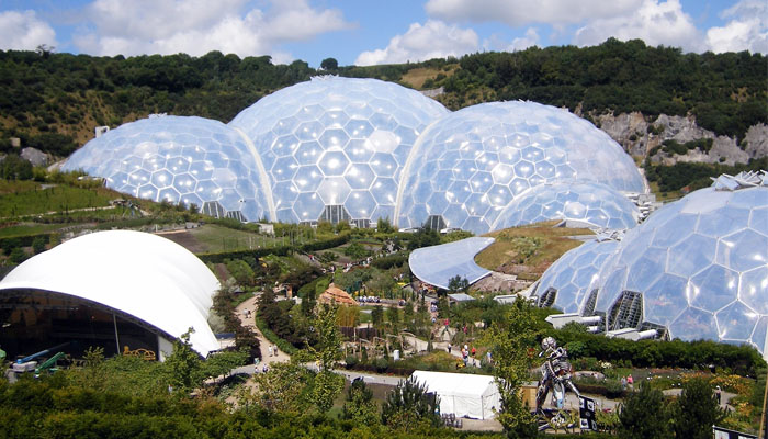 Eden Project: Wild Rubber