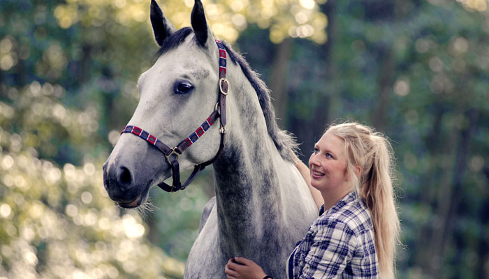 Are Horses Good Therapy?