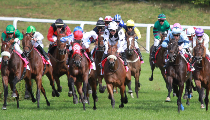 Horse Racing before the Grand National