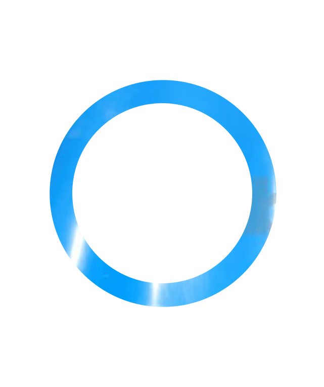 Polyurethane Gasket