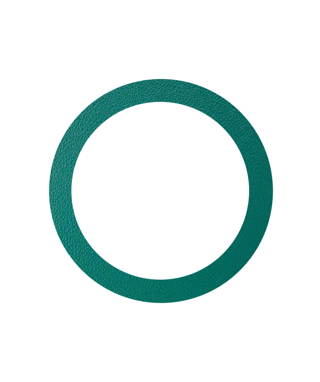 Viton Rubber Gasket