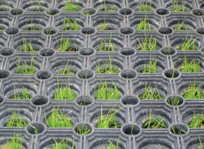 Gateway Mats