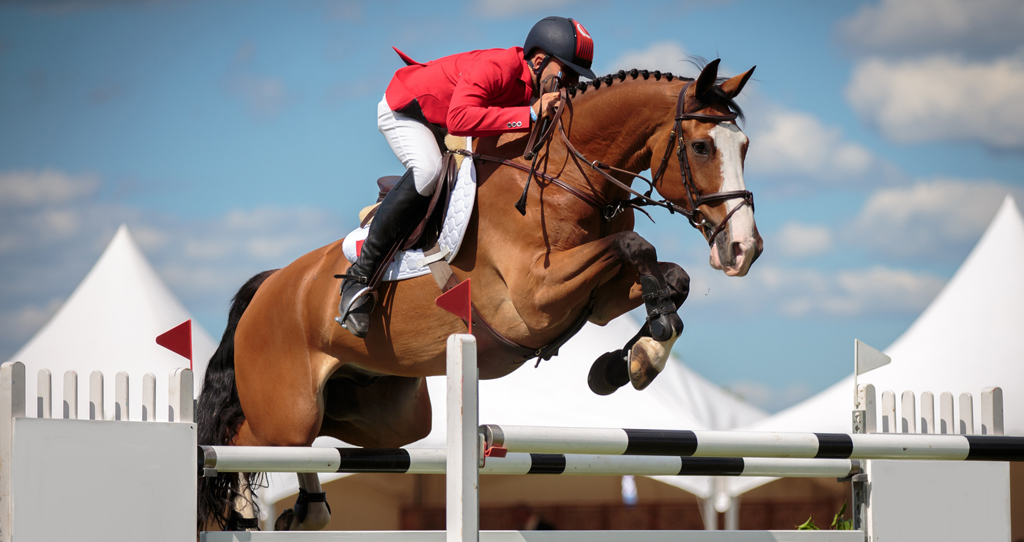 Horse show