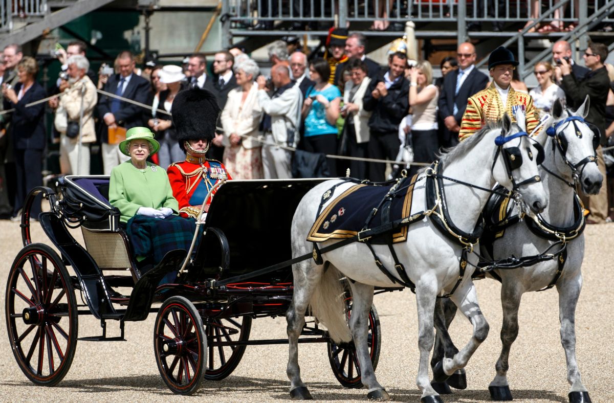 Queen's horses.