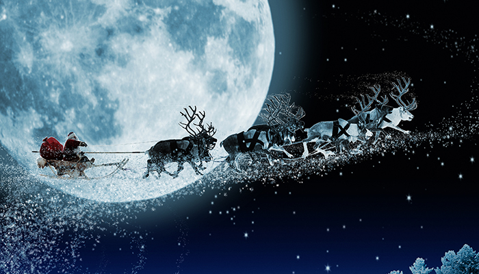 5 Facts About Santa's Reindeer