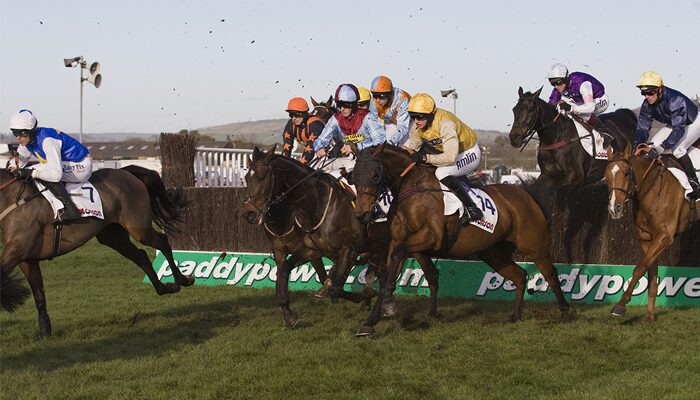 Cheltenham racecourse