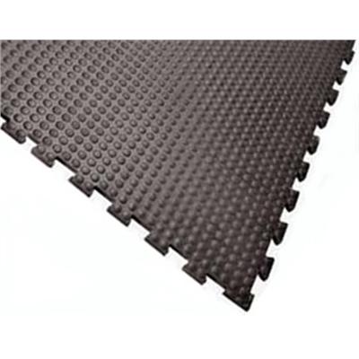 Linkable Rubber Gym Mats