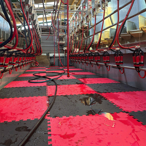 Milk Parlour Mats