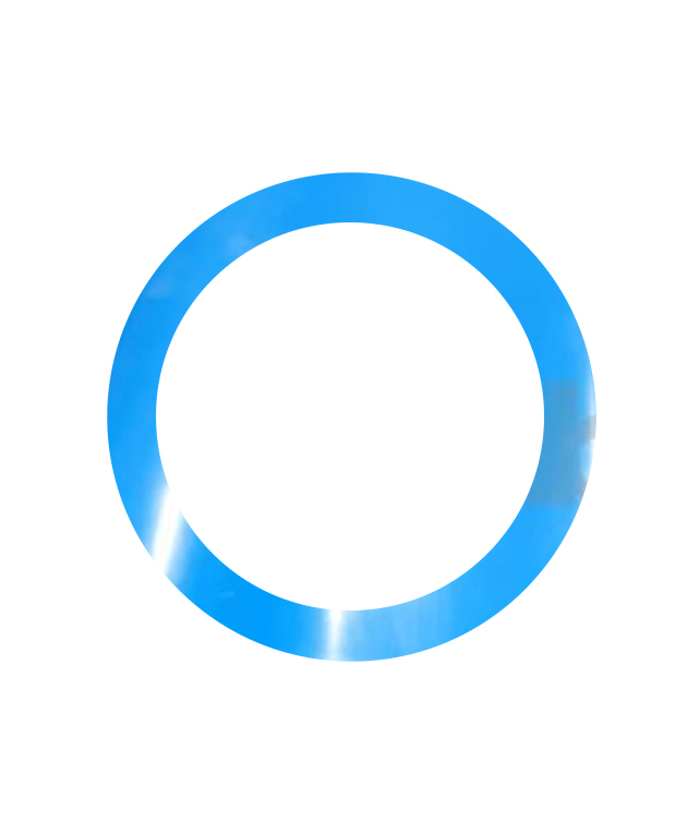 blue gasket