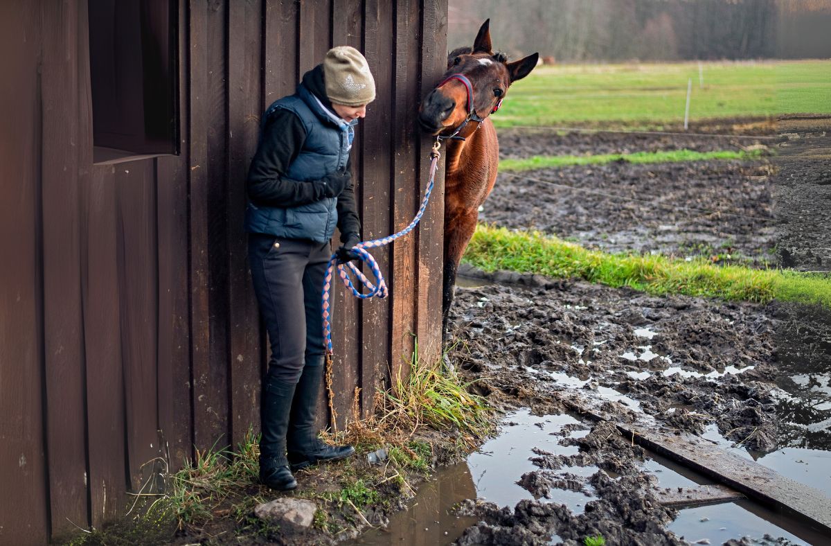 Image of horse and owner on muddy walkway.