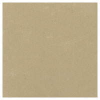 Medium Tan