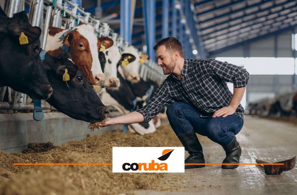 Image of farmer and his cows.