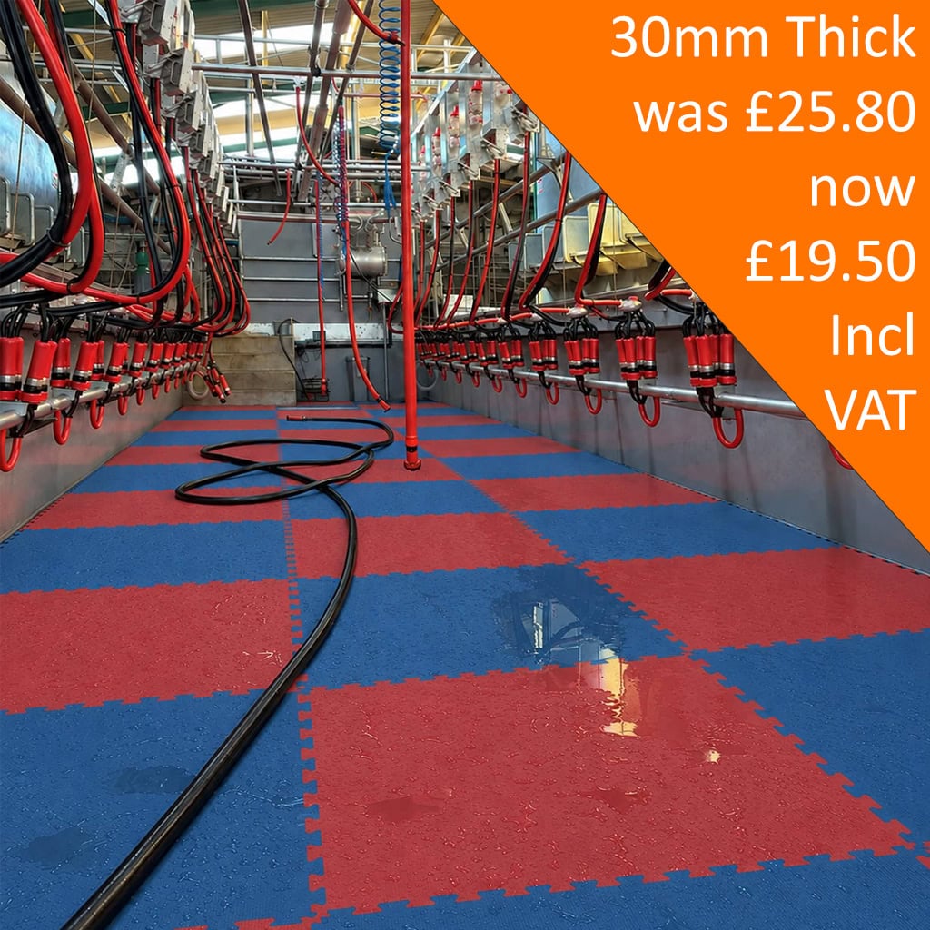 30mm Blue Red Milking Parlour Pit Mats