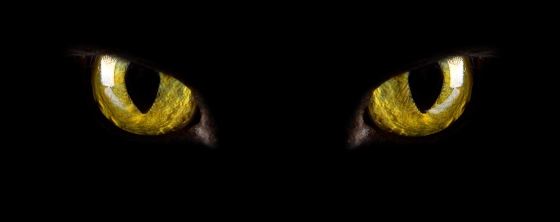 Cats eyes