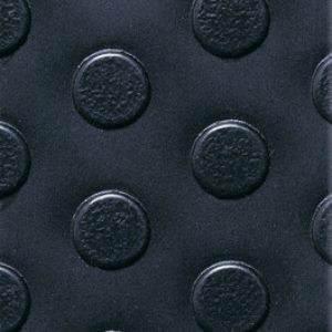 Eco Dot