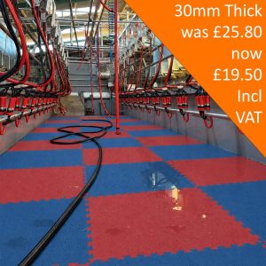 30mm Blue Red Milking Parlour Pit Mats