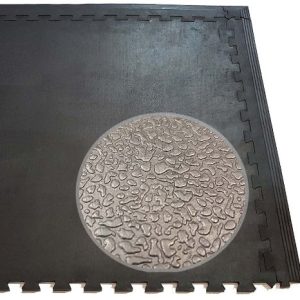 Amoebic Gym Crossfit Linkable Rubber Mats
