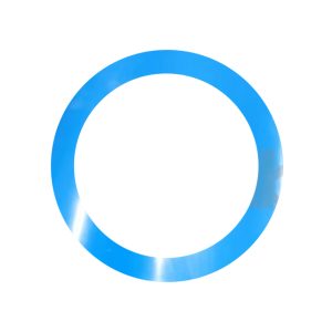 blue gasket