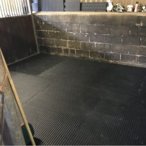 Eva Stable Mats