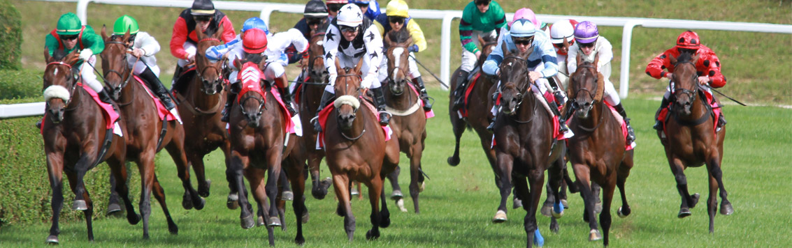 Horse Racing