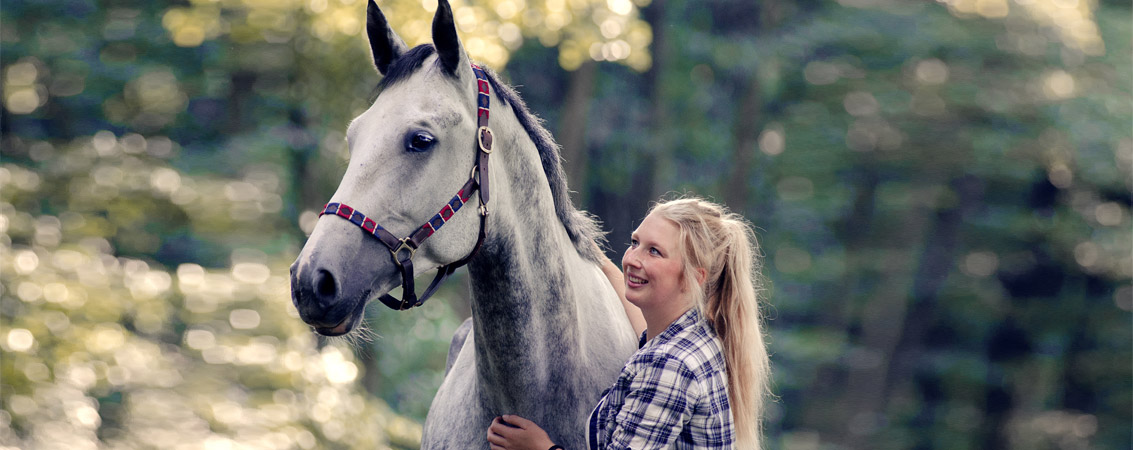 Horse therapy
